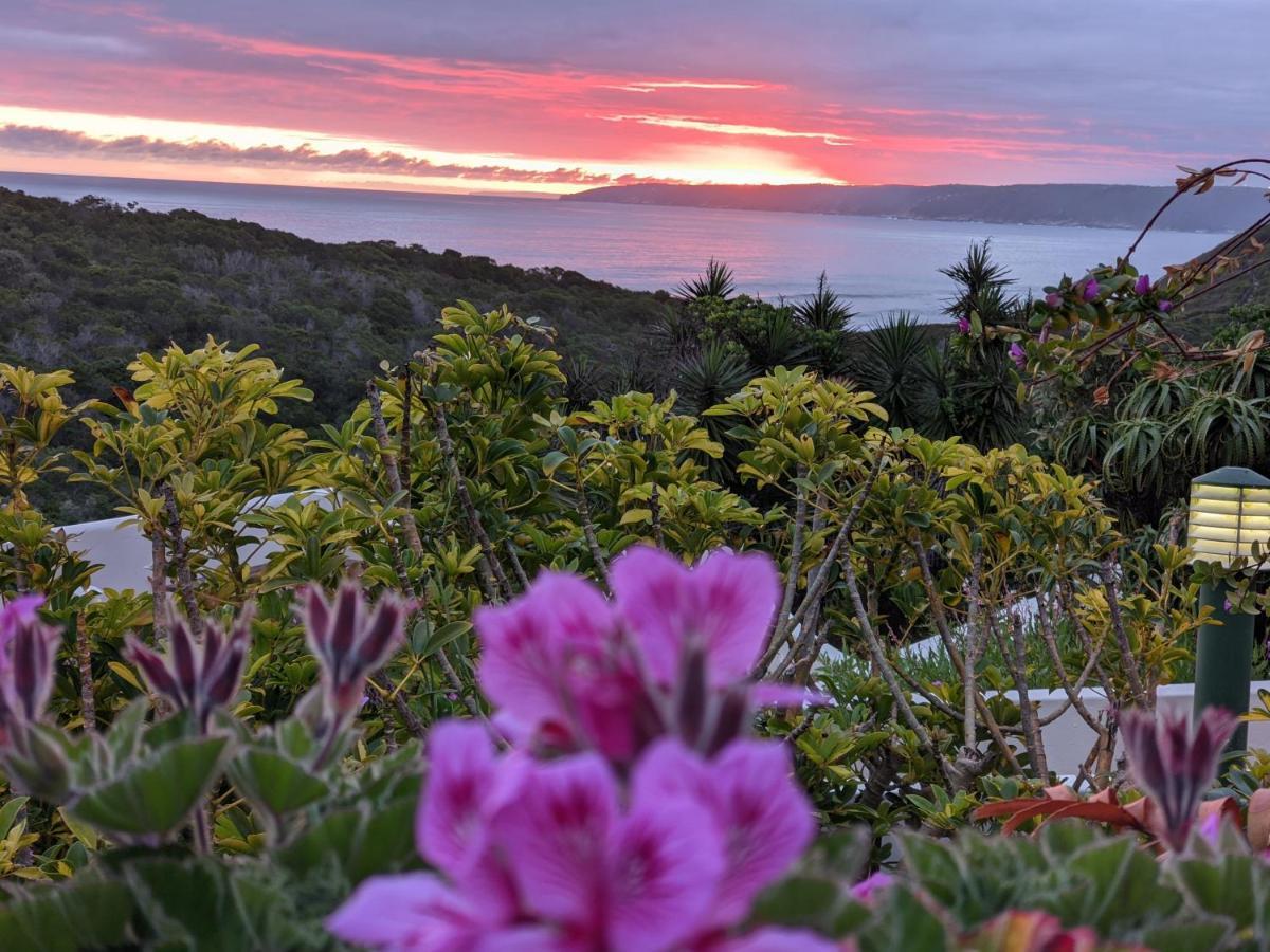 Villa Cape Garden Route Wildernis Екстериор снимка
