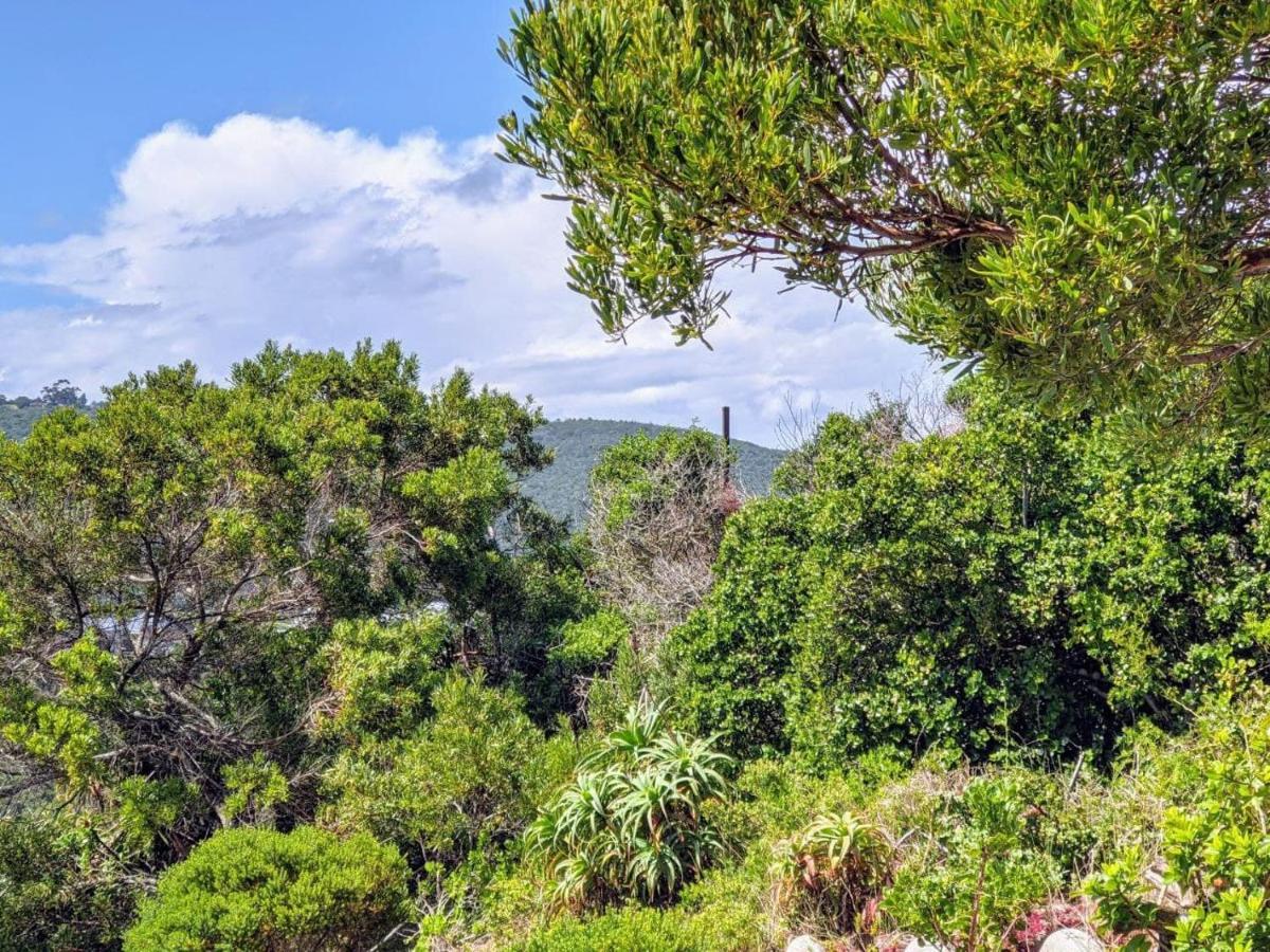 Villa Cape Garden Route Wildernis Екстериор снимка
